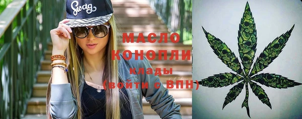 молекула духа Вязьма
