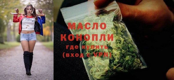 молекула духа Вязьма