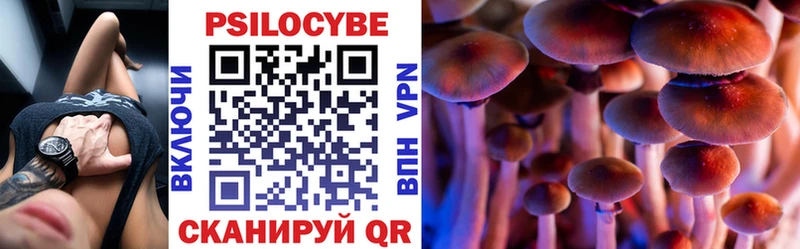 Купить где  Тюкалинск  Псилоцибиновые грибы Psilocybine cubensis 
